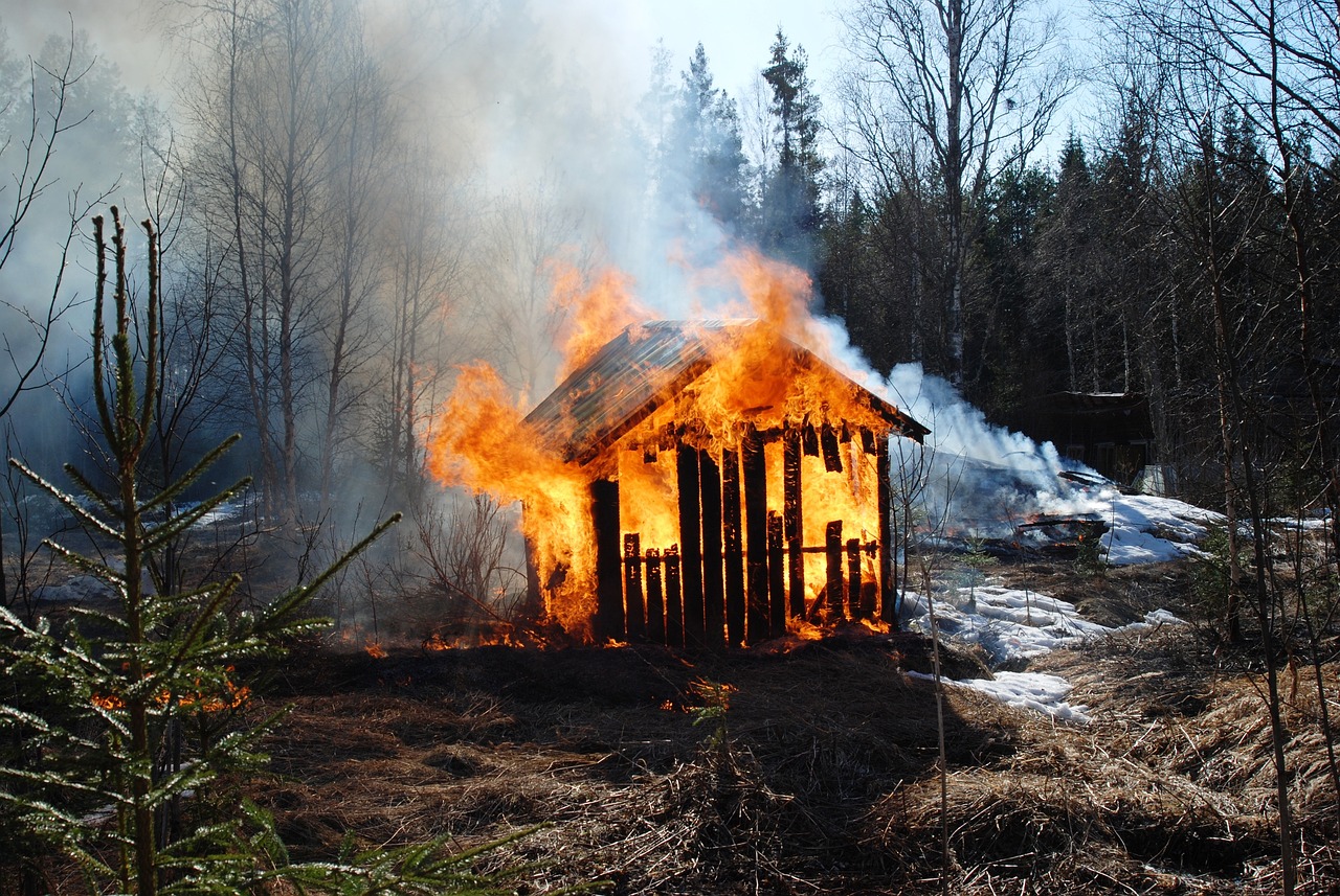 杭州保姆纵火事件最新消息全面解析与更新