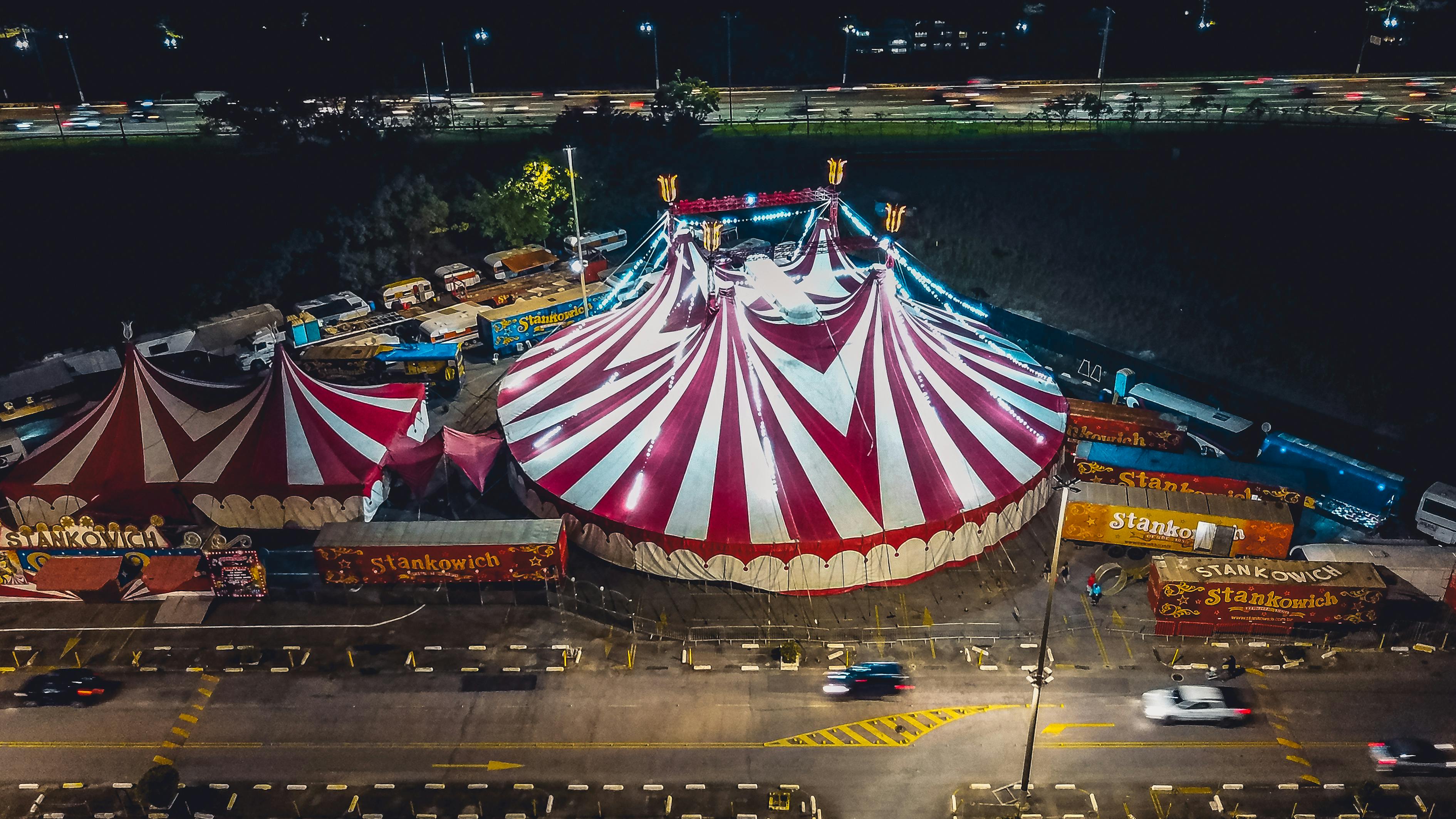 河南土豆价格最新行情分析，市场动态与趋势解读